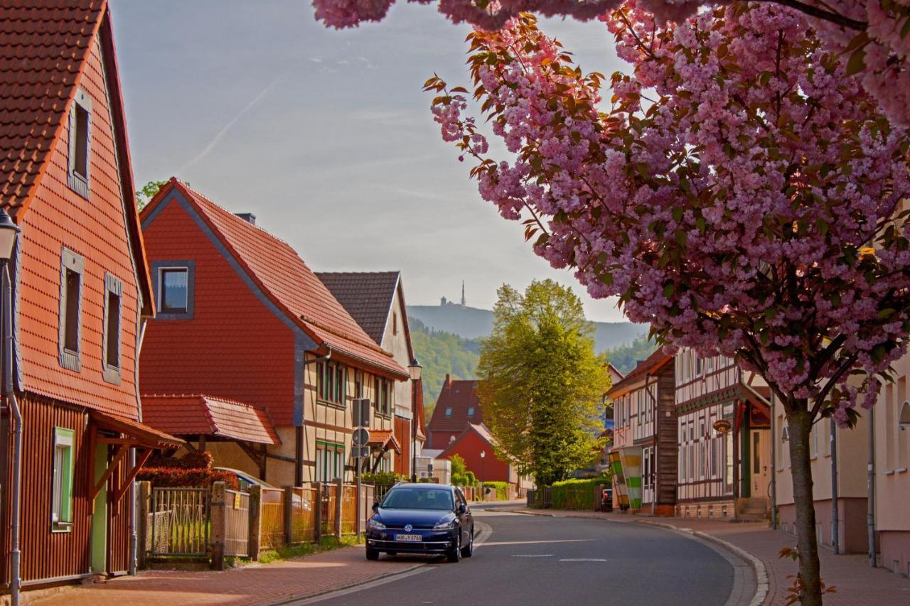 Haus Ilsegarten Ilsenburg Luaran gambar